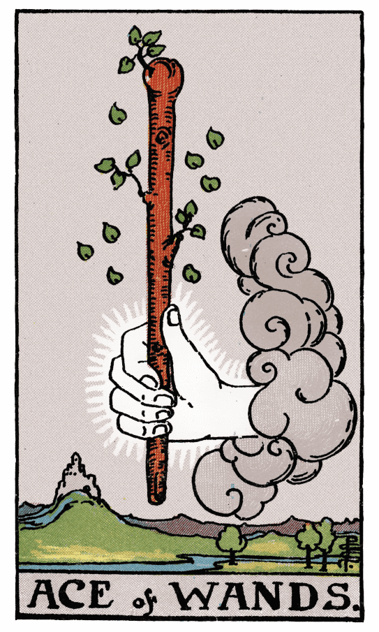 權杖王牌 Ace of Wands - 塔羅牌圖像