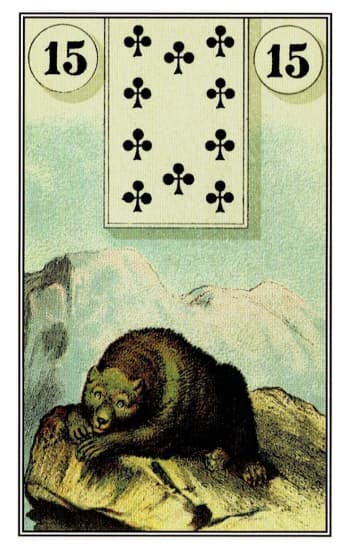 熊 Bear - 雷諾曼牌