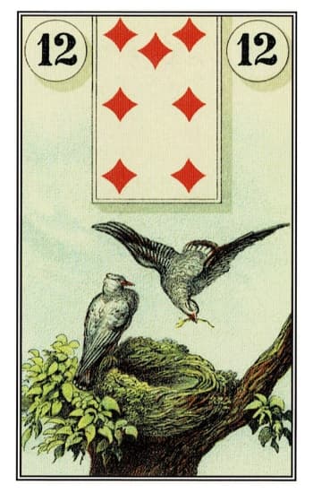 鸟 Birds - 雷諾曼牌