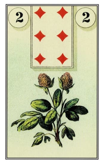 三叶草 - 雷诺曼牌
