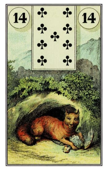 狐狸 - 雷诺曼牌