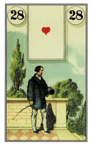 男人 - 雷諾曼牌