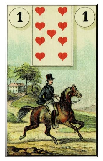 骑士 Rider - 雷諾曼牌