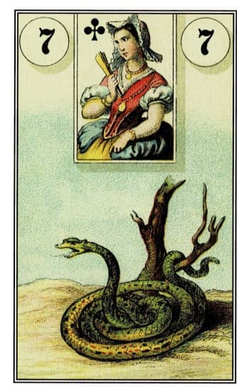 蛇 Snake - 雷諾曼牌