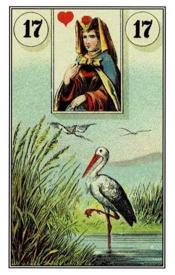 鹳鸟 - 雷诺曼牌