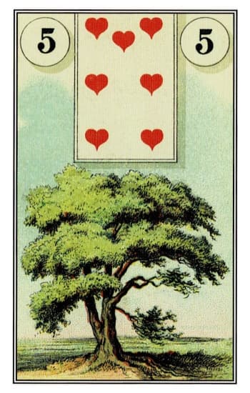 樹 Tree - 雷諾曼牌